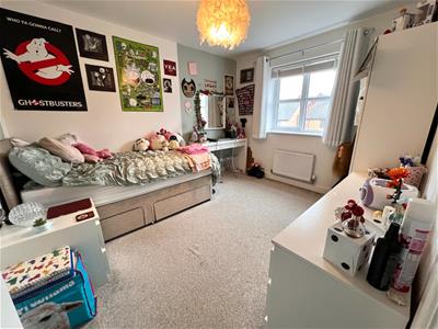 Picture 14